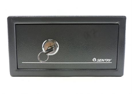 v120 sentry safe key metal auctions police canada